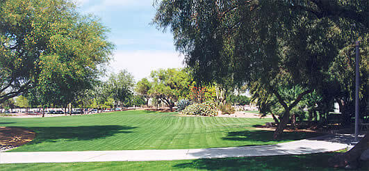 What Landscape Maintenance Can Do for Your Property