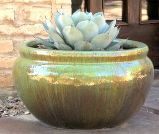 Horticulture Unlimited’s Gardening Tip of the Month: Learn How to Build a Container Garden!