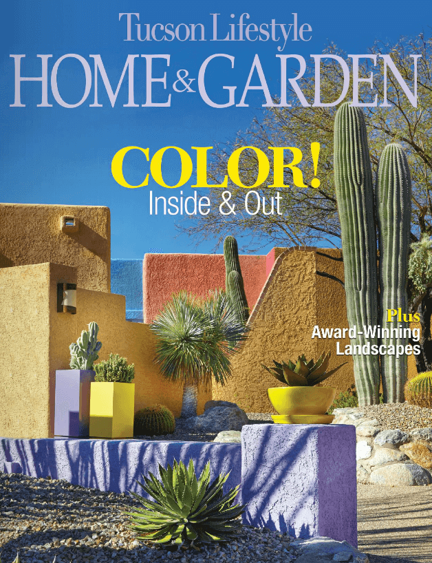 Tucson Lifestyle Home and Garden April 2015 (4)