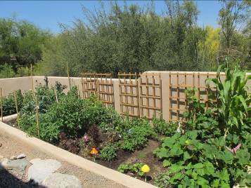 Exploring Southwest Landscaping Ideas for Your Tucson Garden