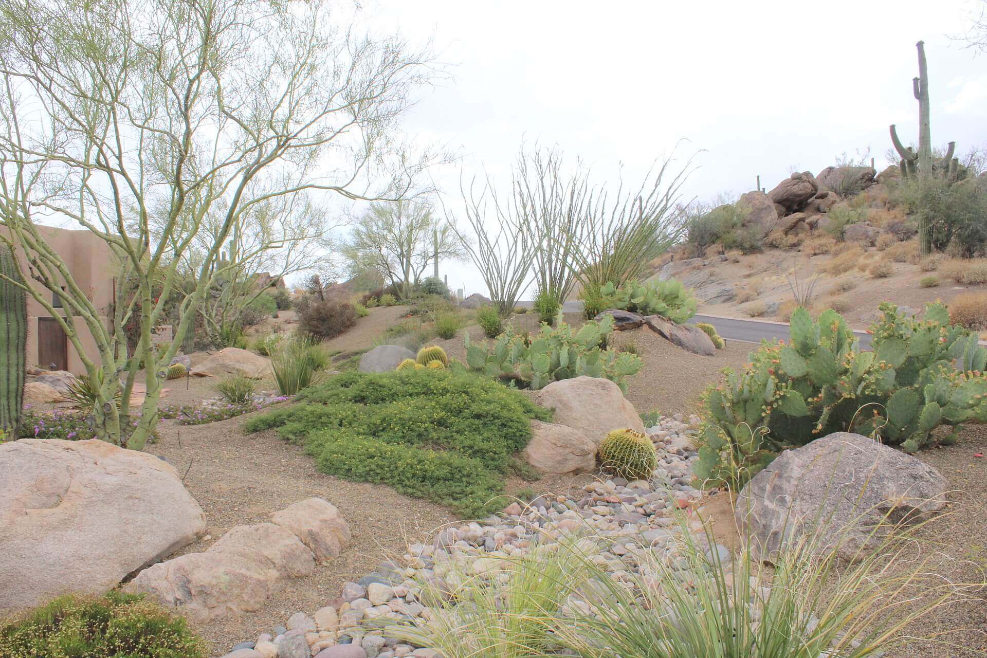 Horticulture Unlimited Receives 2017 Excellence in Landscaping Awards from ALCA!
