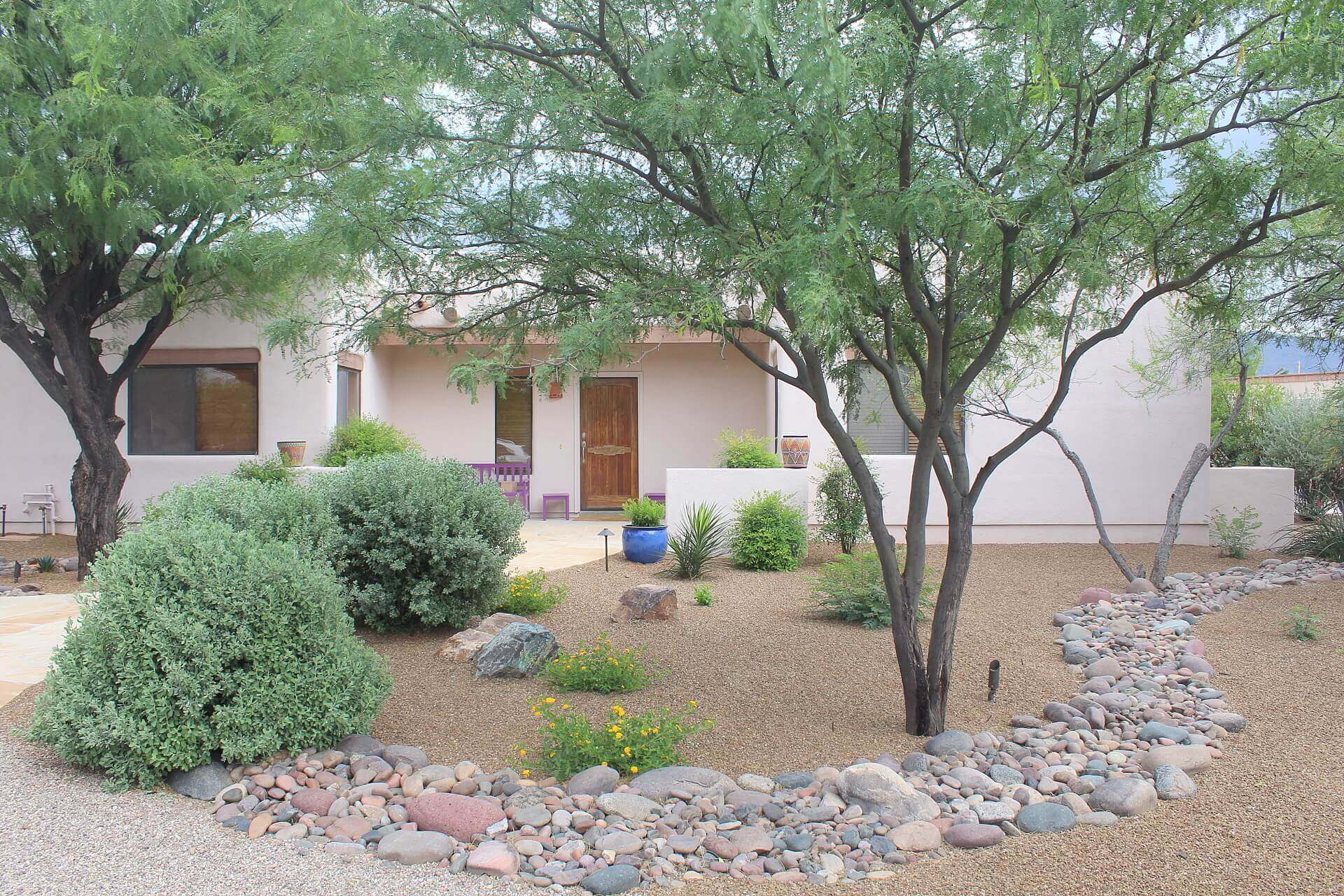Preparing Trees for Monsoon Season