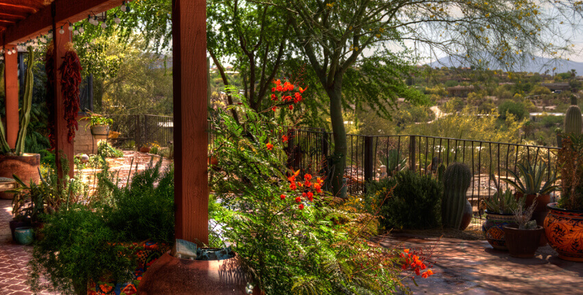 Tucson Landscape Design