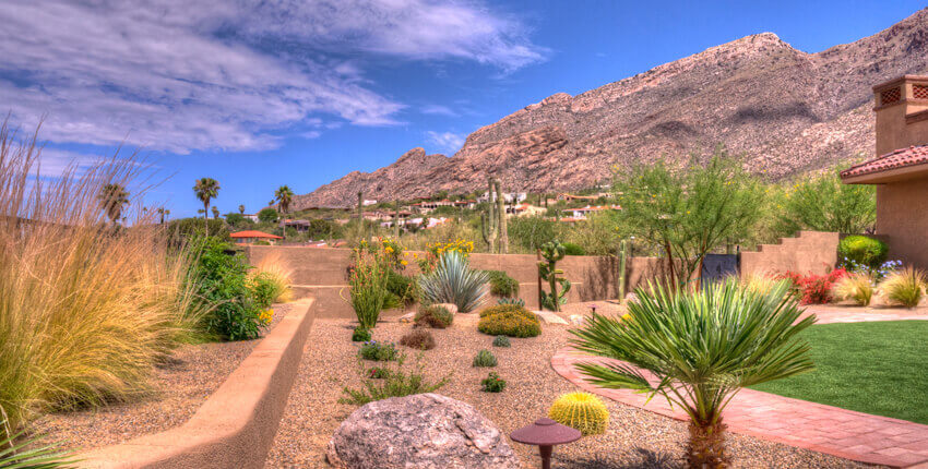 Tucson Landscape Design
