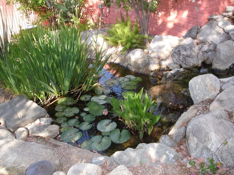 Water Features