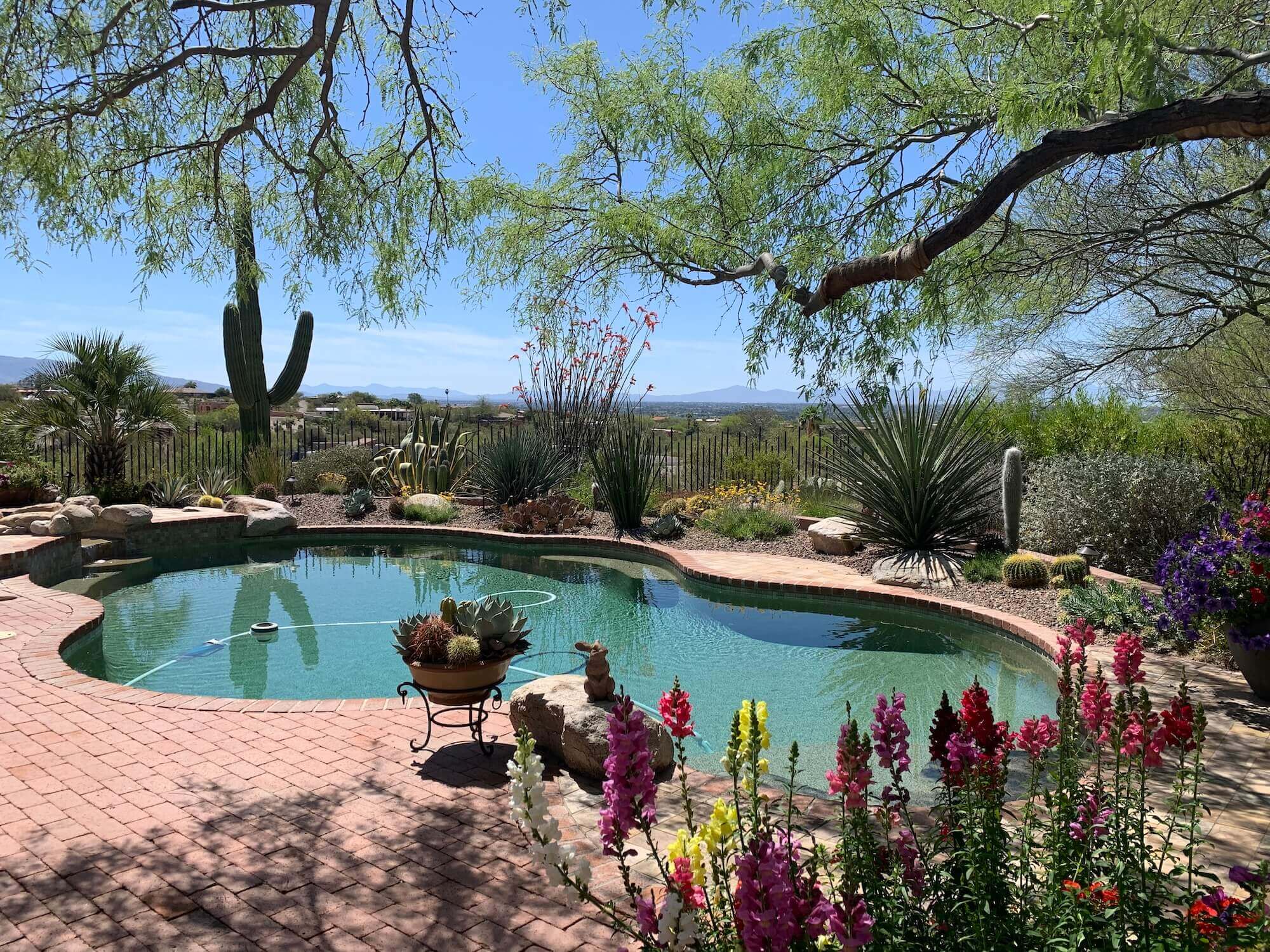 5 Great Ways to Create Your Ultimate Summer Oasis in Tucson