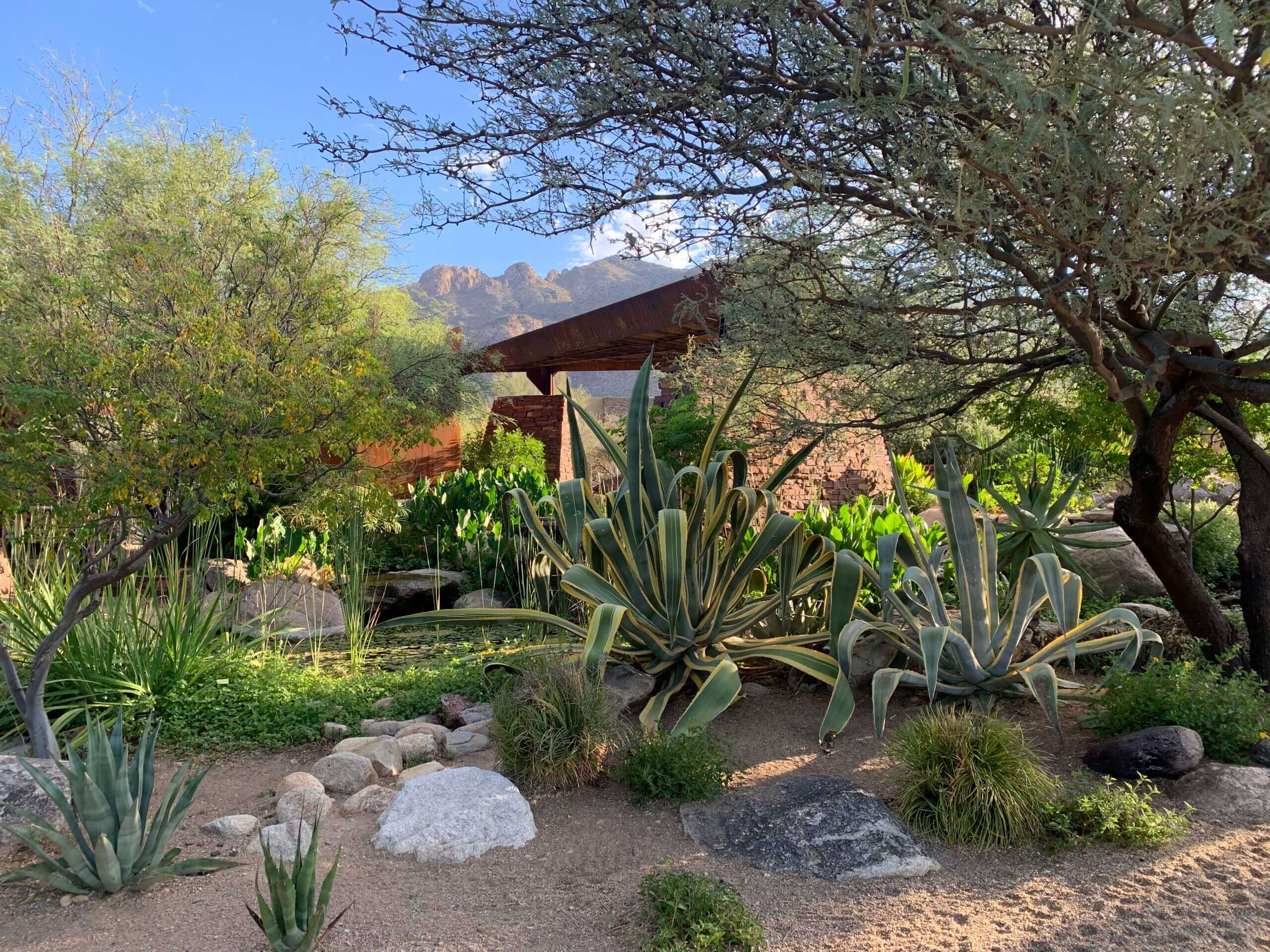 A large garden after a landscape renovation completed by Horticulture Unlimited.