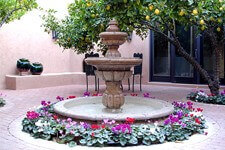 Tucson Landscape Design