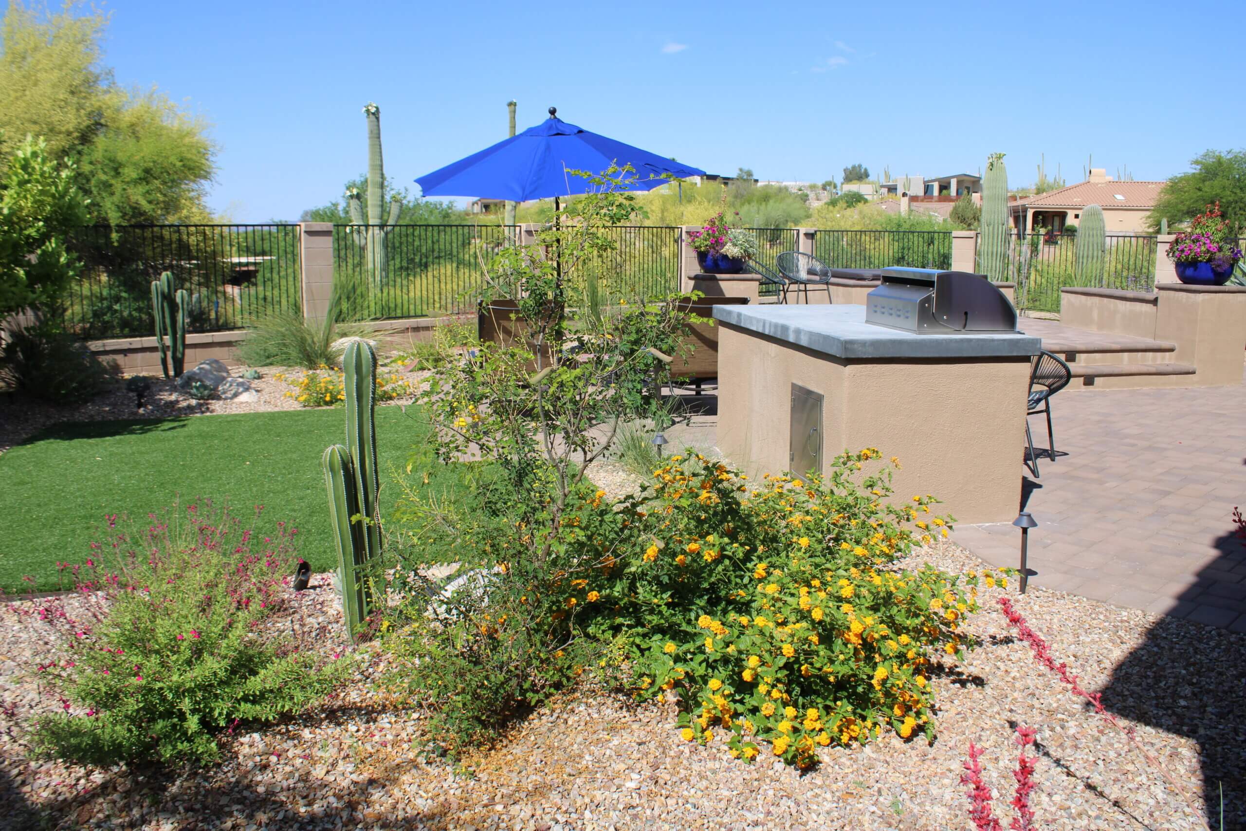 Preparing Your Tucson Landscape for Cooler Weather