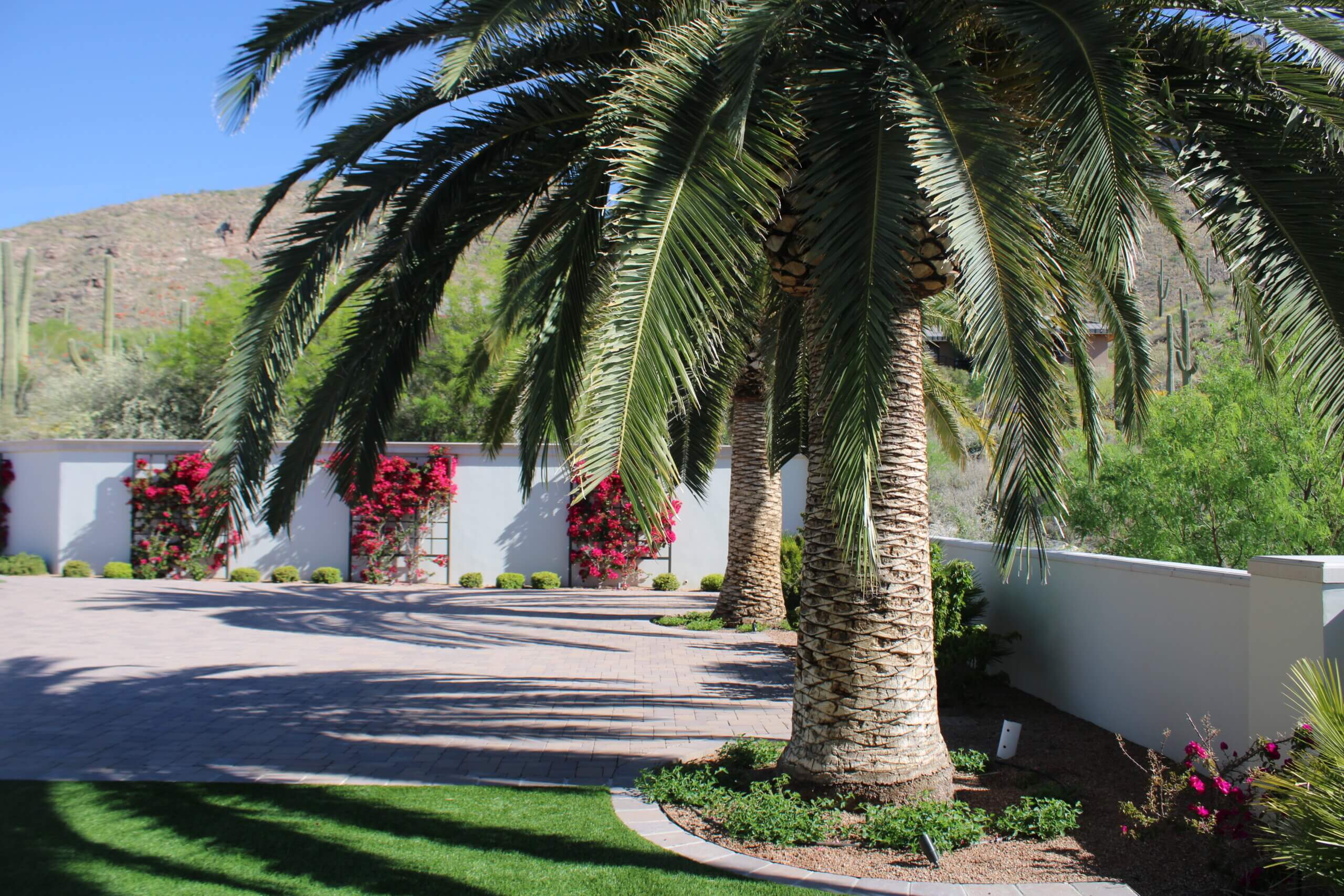 Tucson Landscape Design