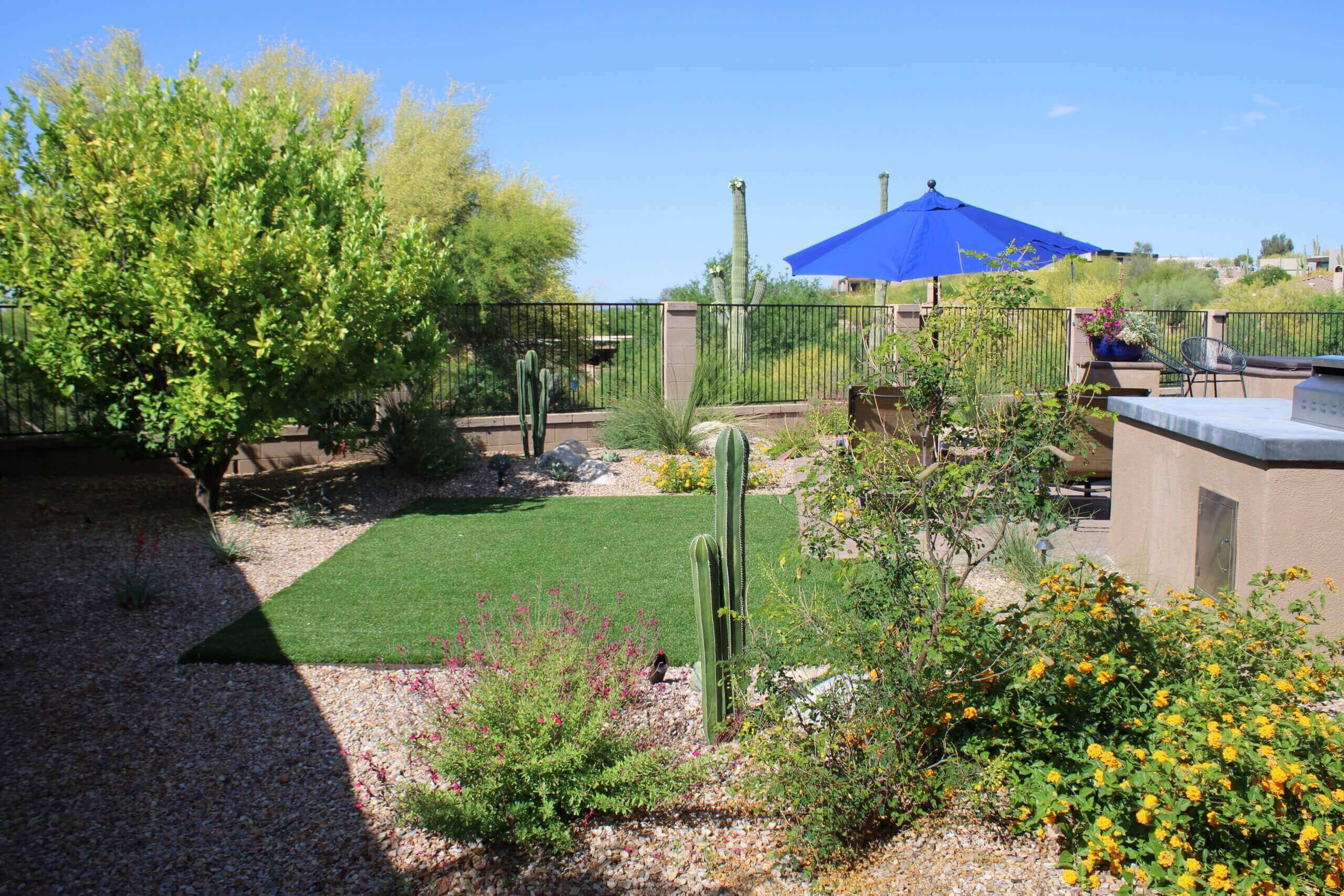 Fall in the Desert: Essential Landscaping Tips for Tucson Homeowners