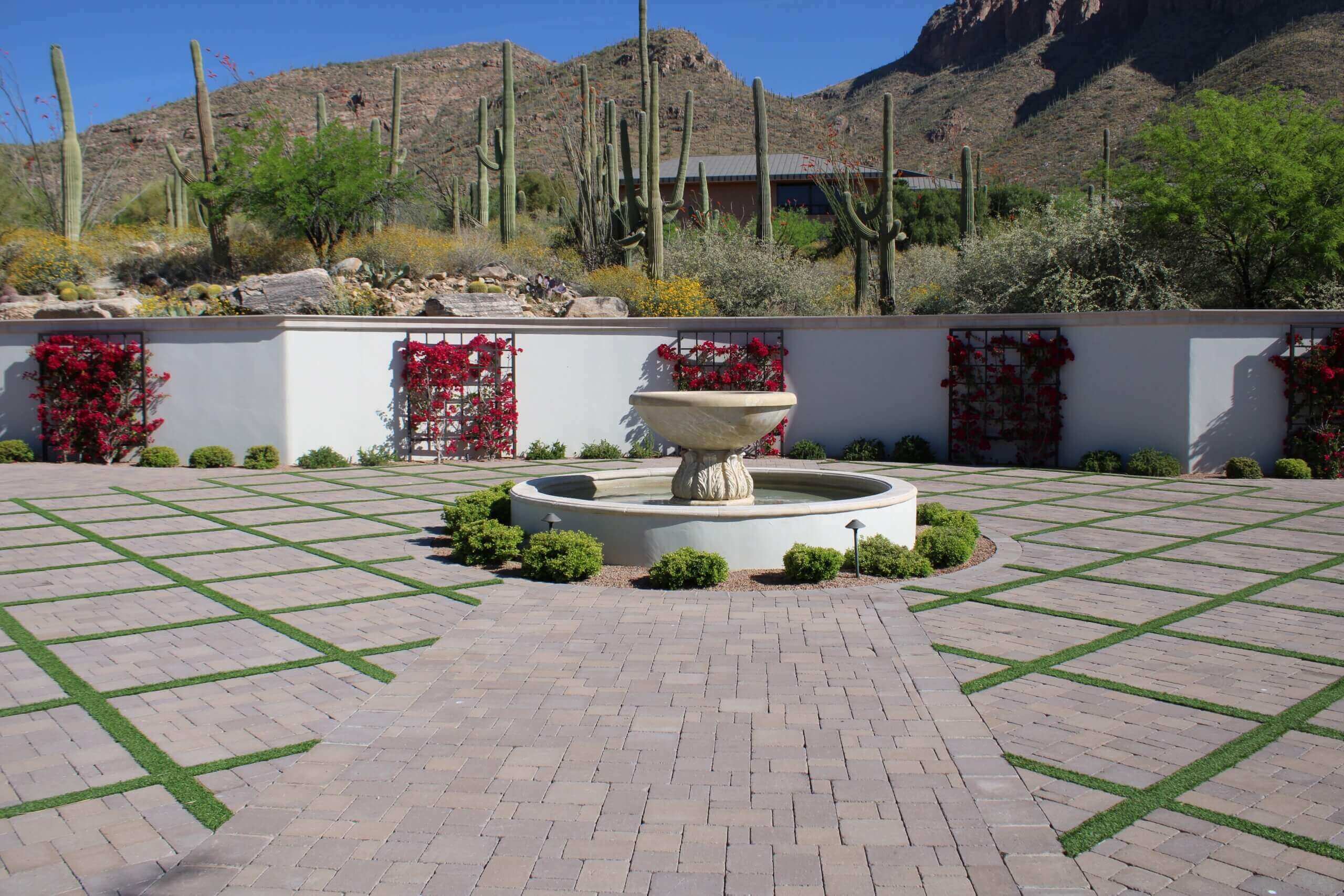 Tucson Landscape Design