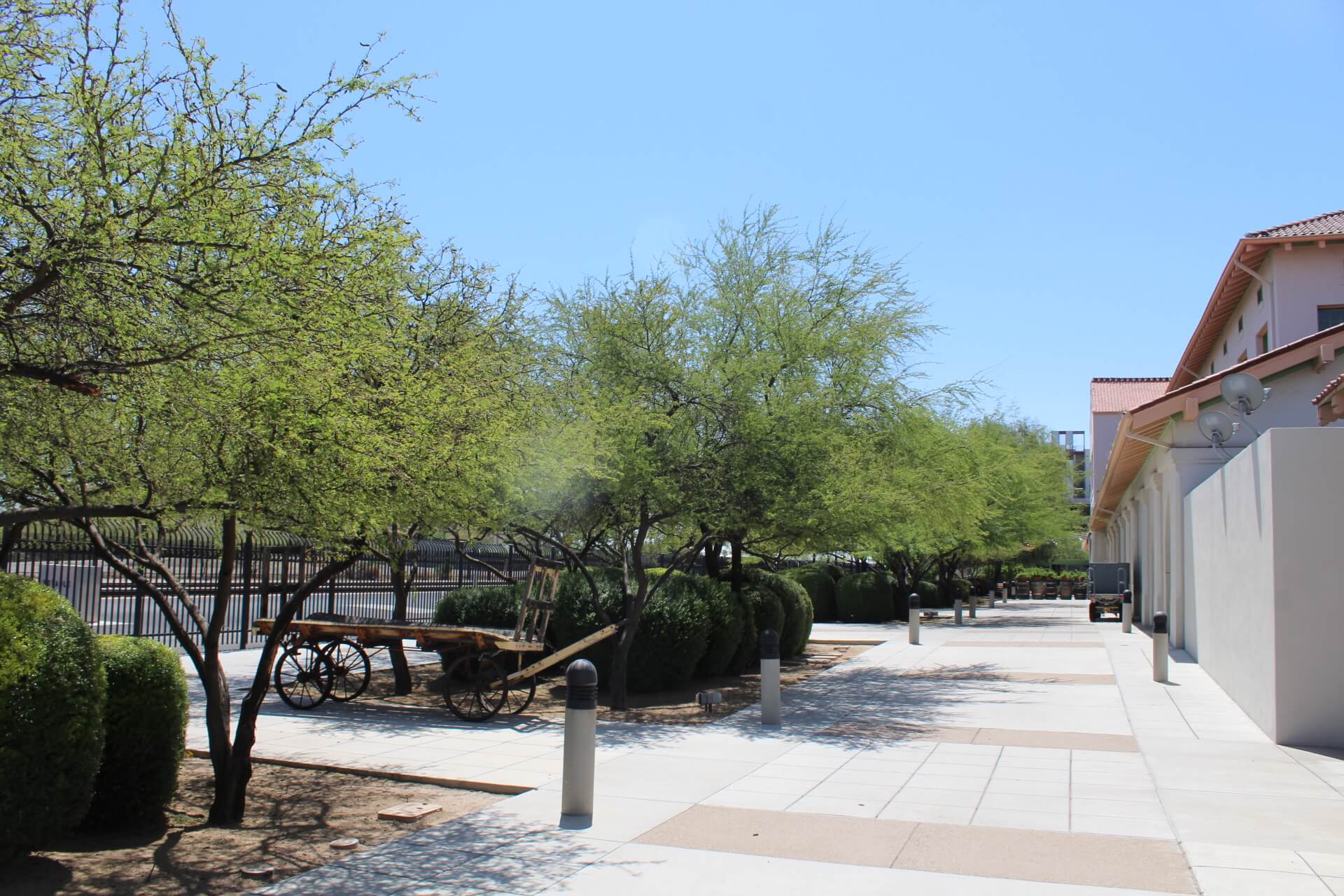 Tucson Landscape Design