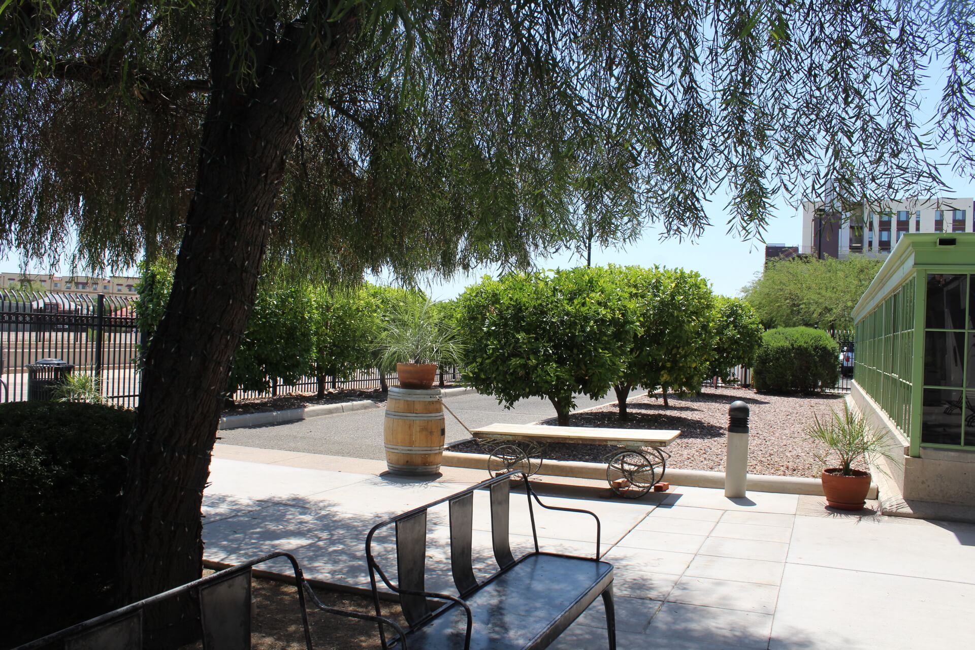 Tucson Landscape Design