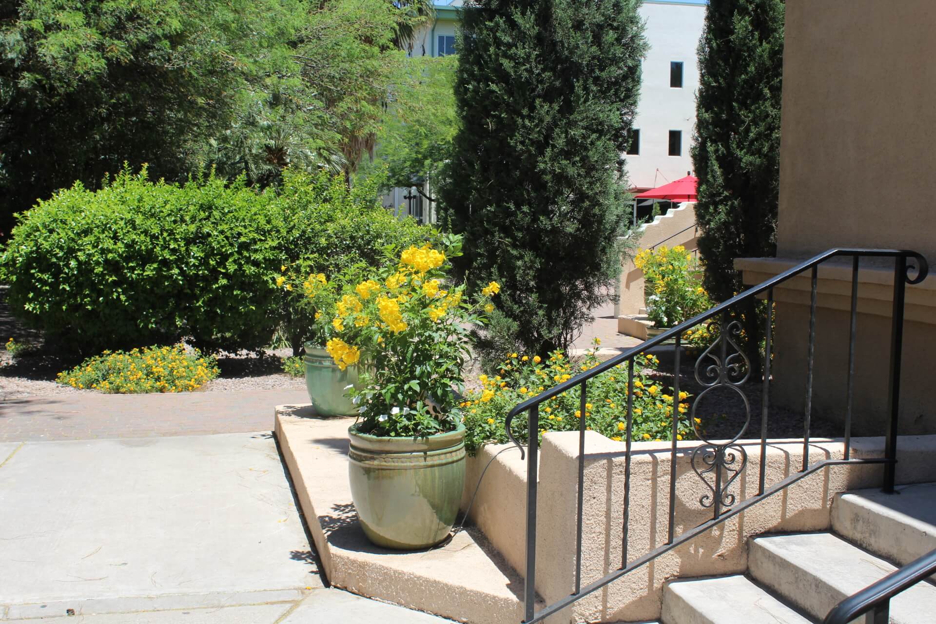 Tucson Landscape Design