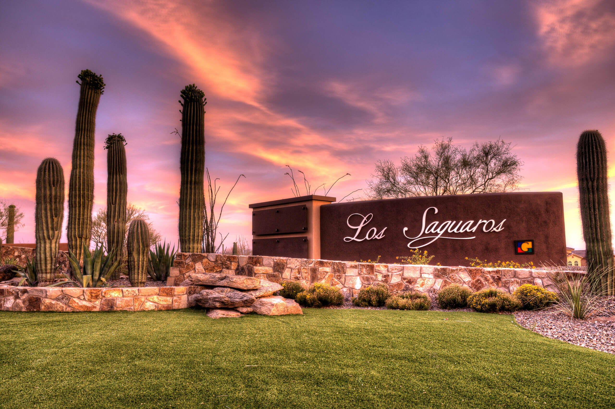 A sign in front of a business with expert landscape design, cactuses, and a well-maintained lawn