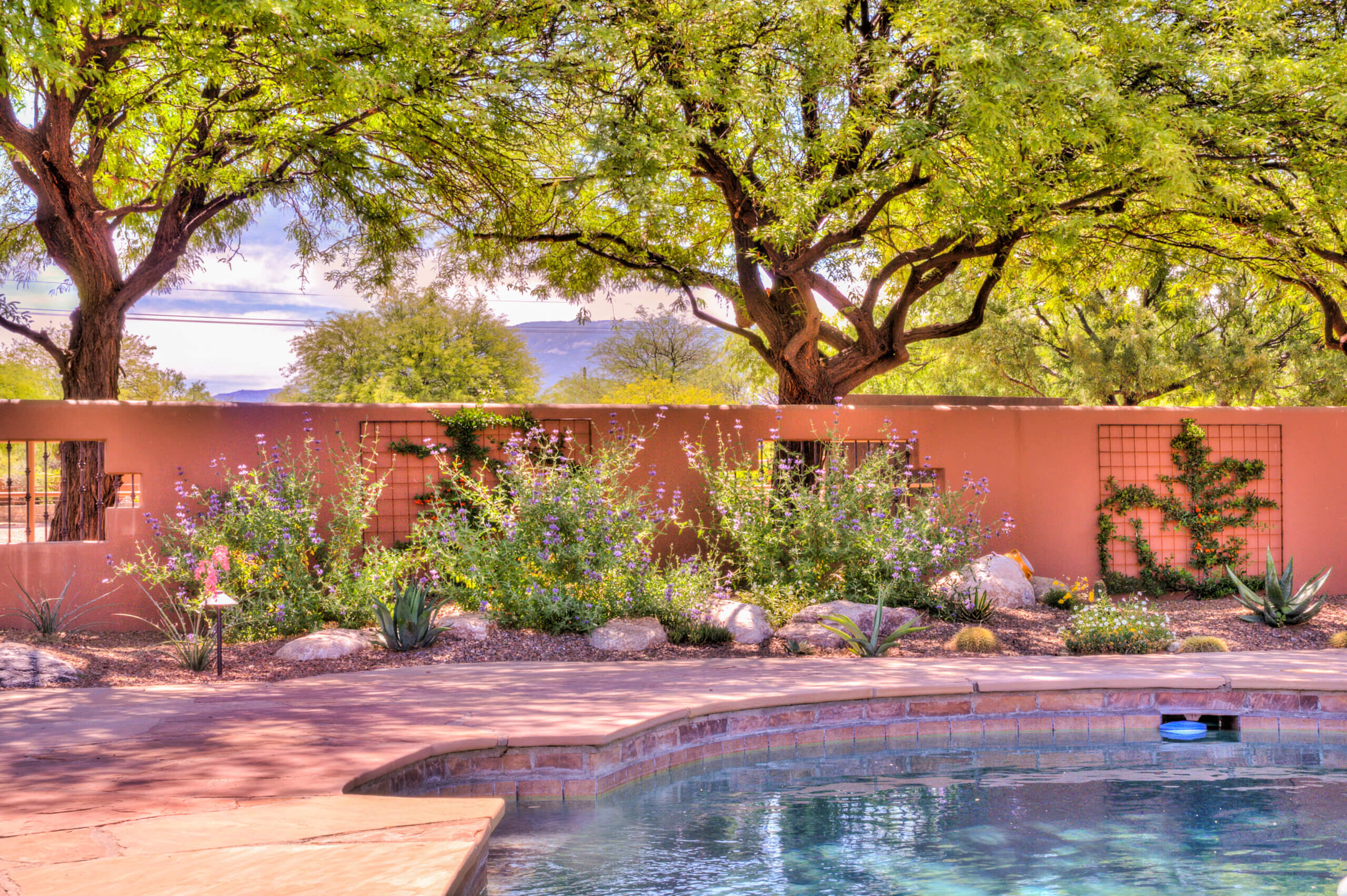 Tucson Landscape Design