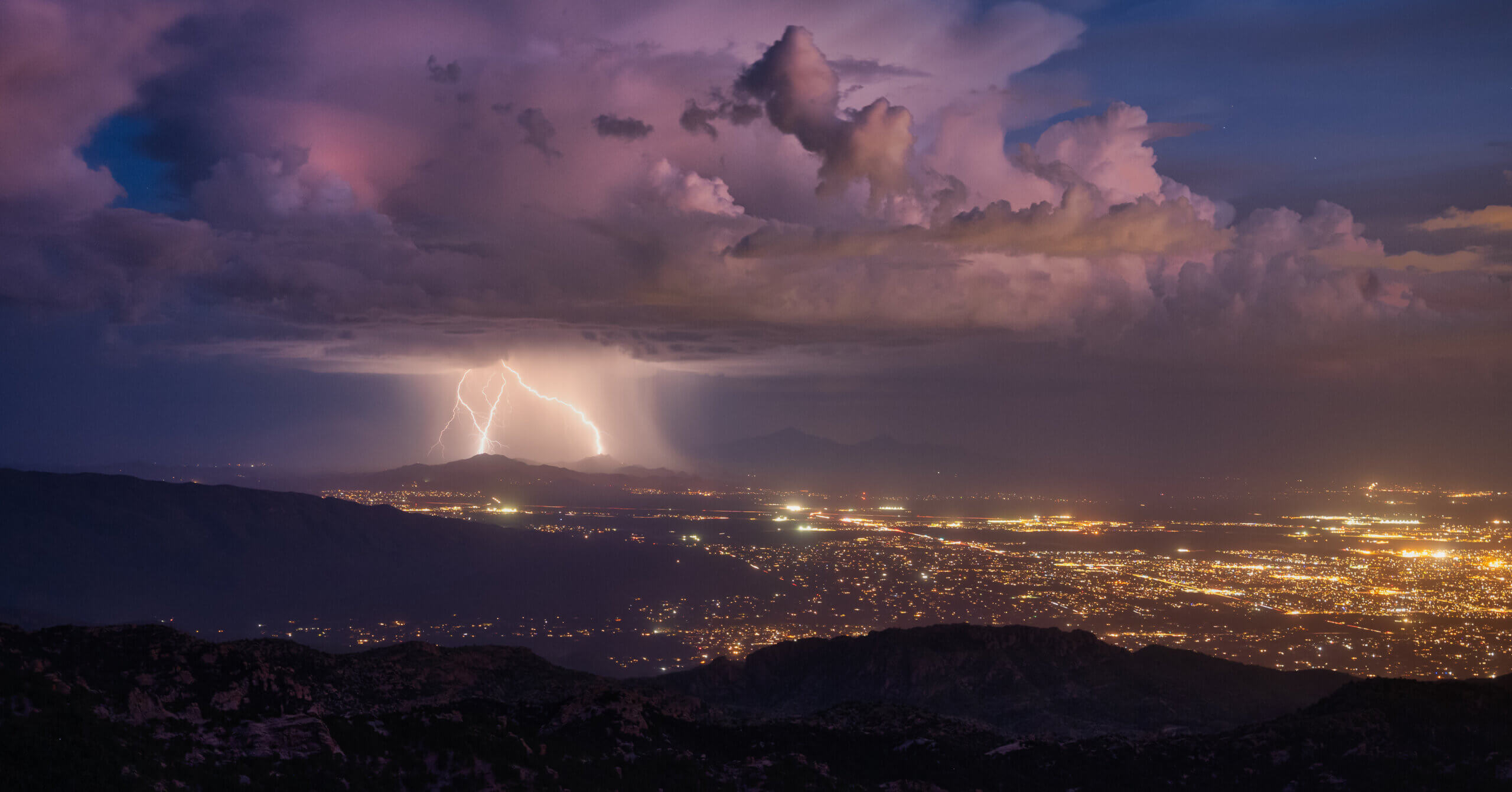 Landscape Maintenance Must-Dos: Keep Your Tucson Property Thriving Through Monsoon Season