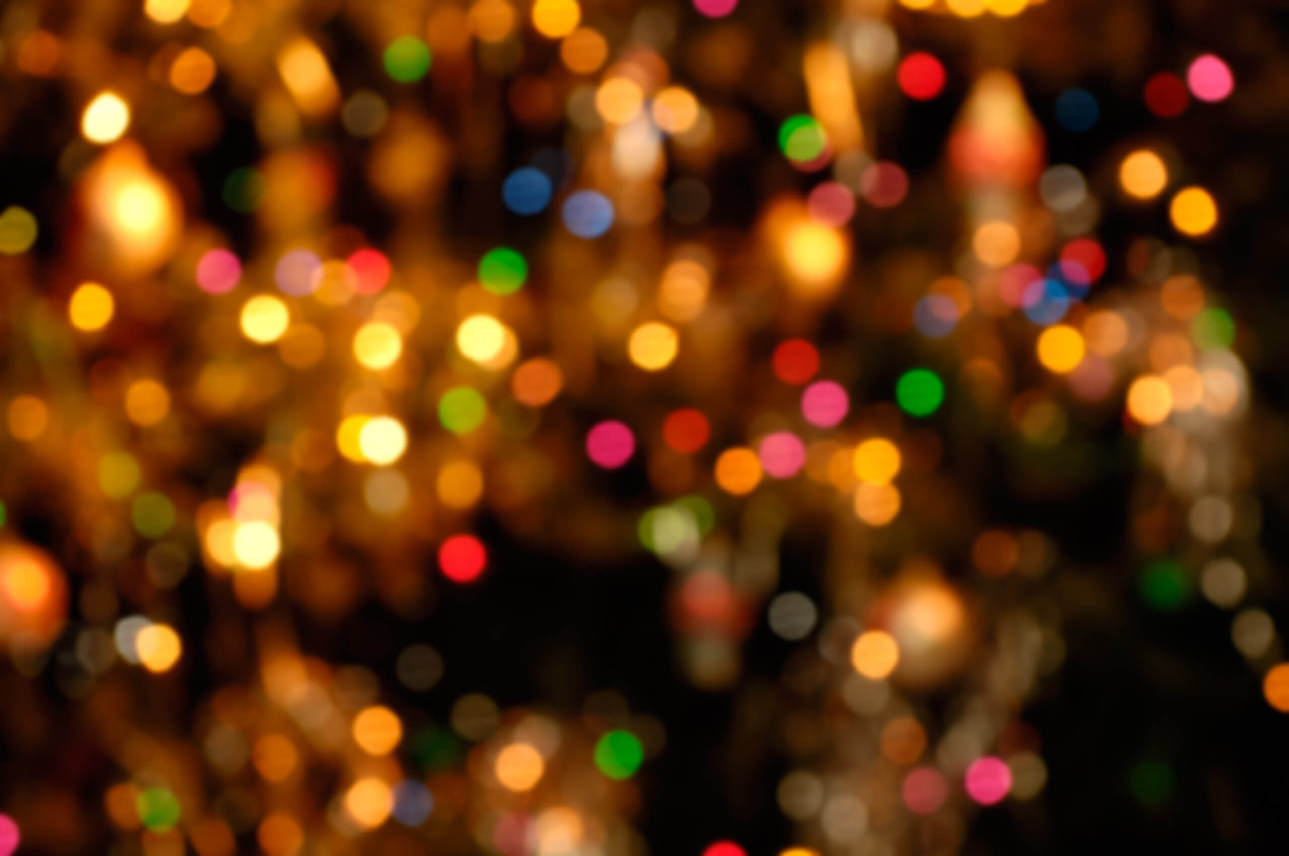 Festive Landscaping Ideas to Brighten Your Tucson Home or Business