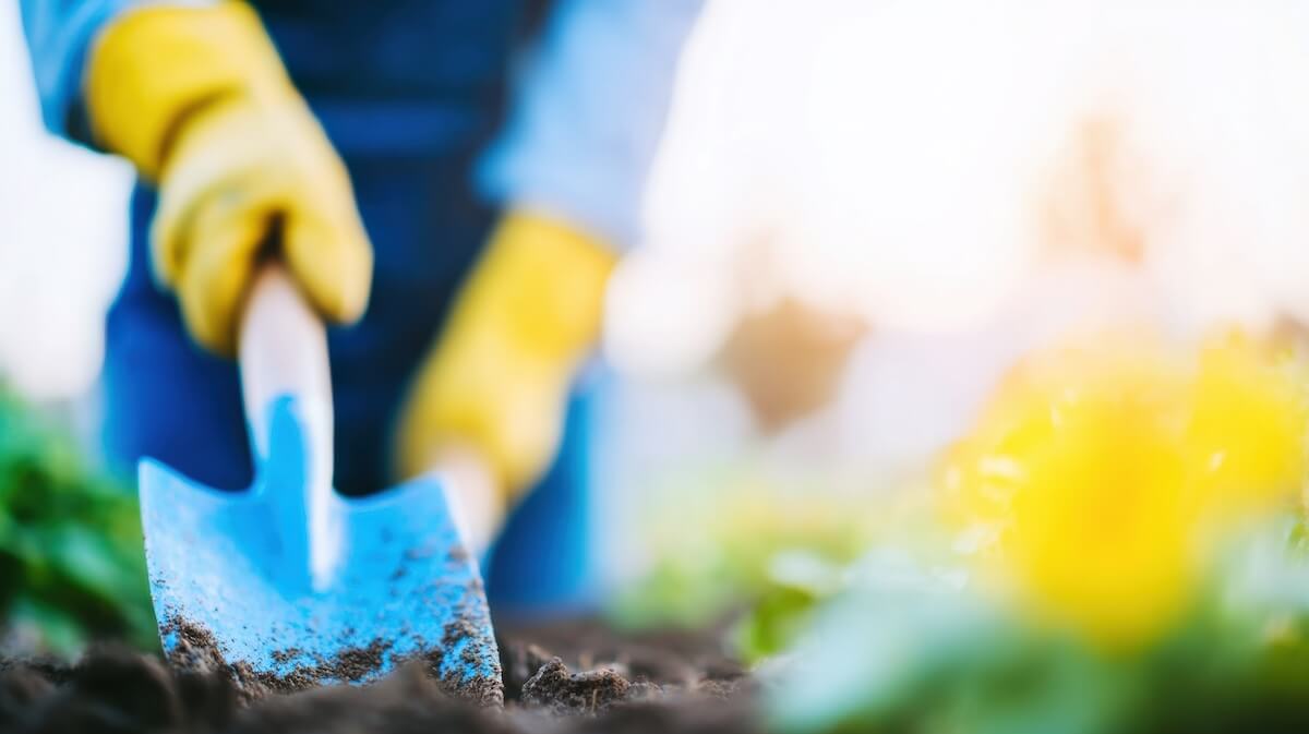 Early Spring Garden Prep: Soil, Irrigation, and Planting Guide for Tucson, AZ